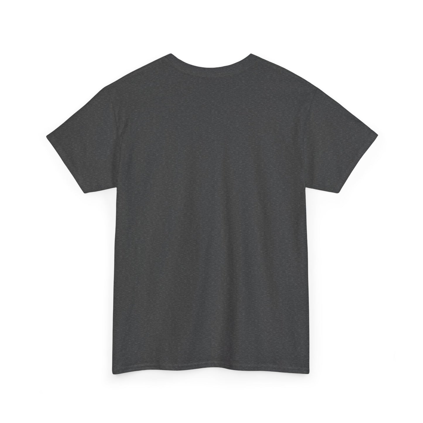 Class 43 HST T Shirt