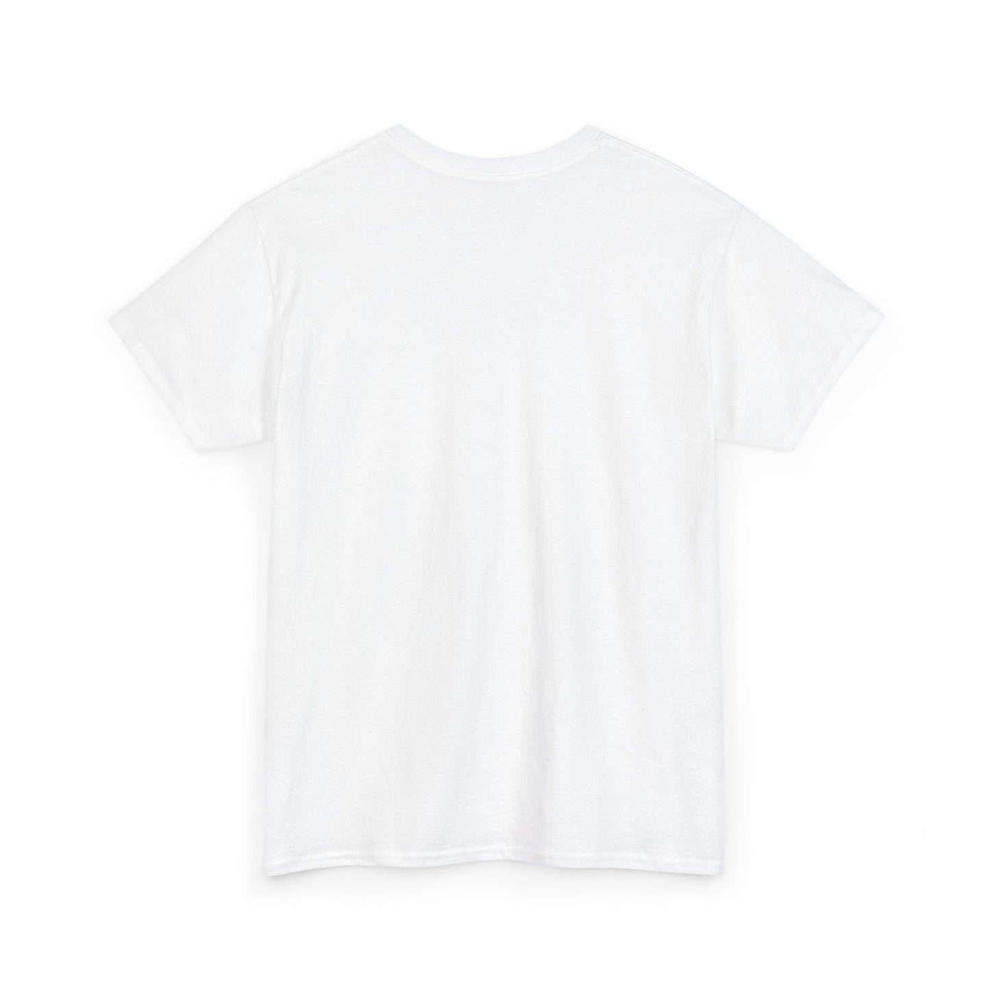 Class 43 HST T Shirt